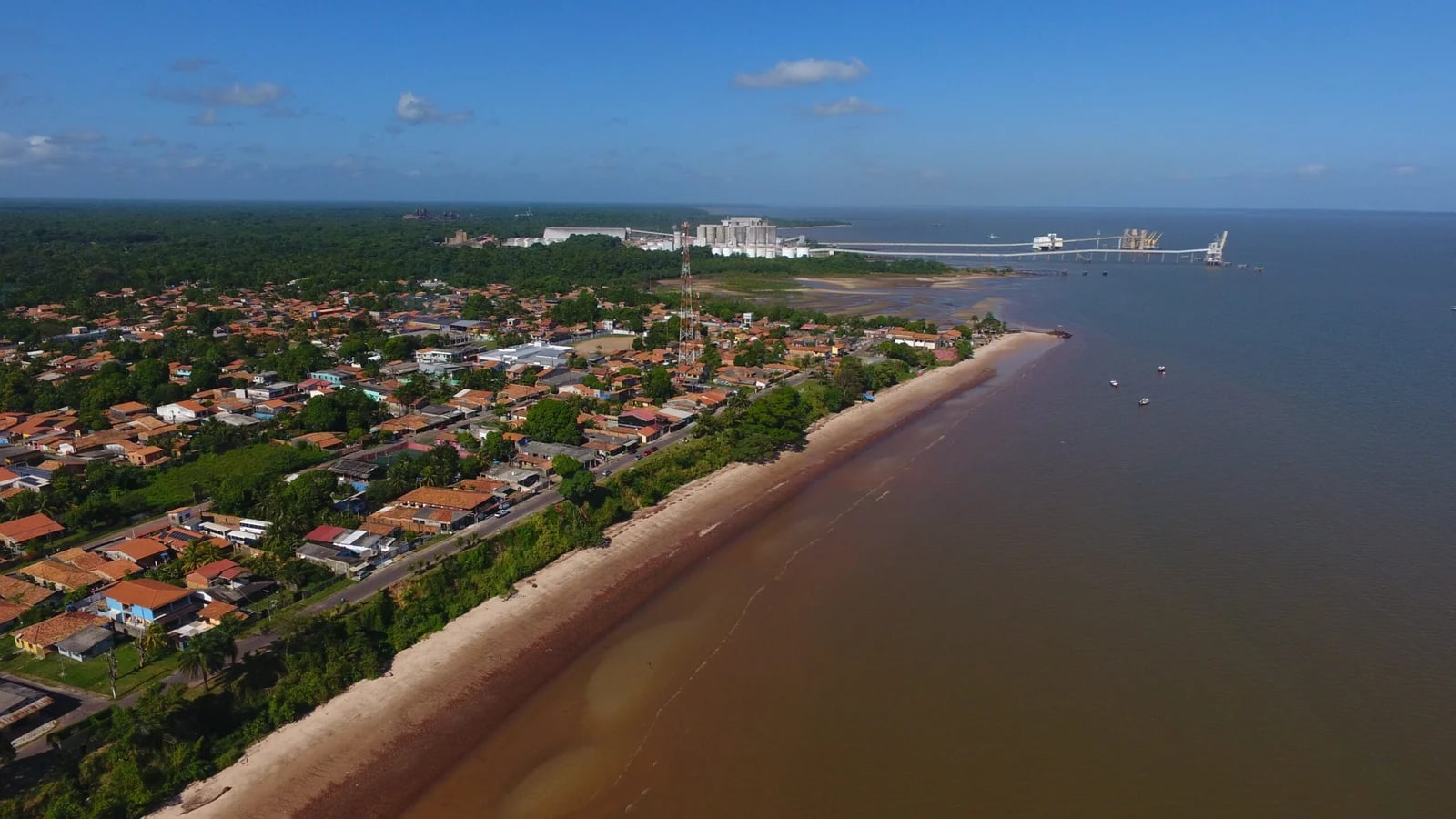 DIA MUNDIAL DO MEIO AMBIENTE: A IMPORTÂNCIA DA CONSERVAÇÃO PARA O FUTURO DO PLANETA