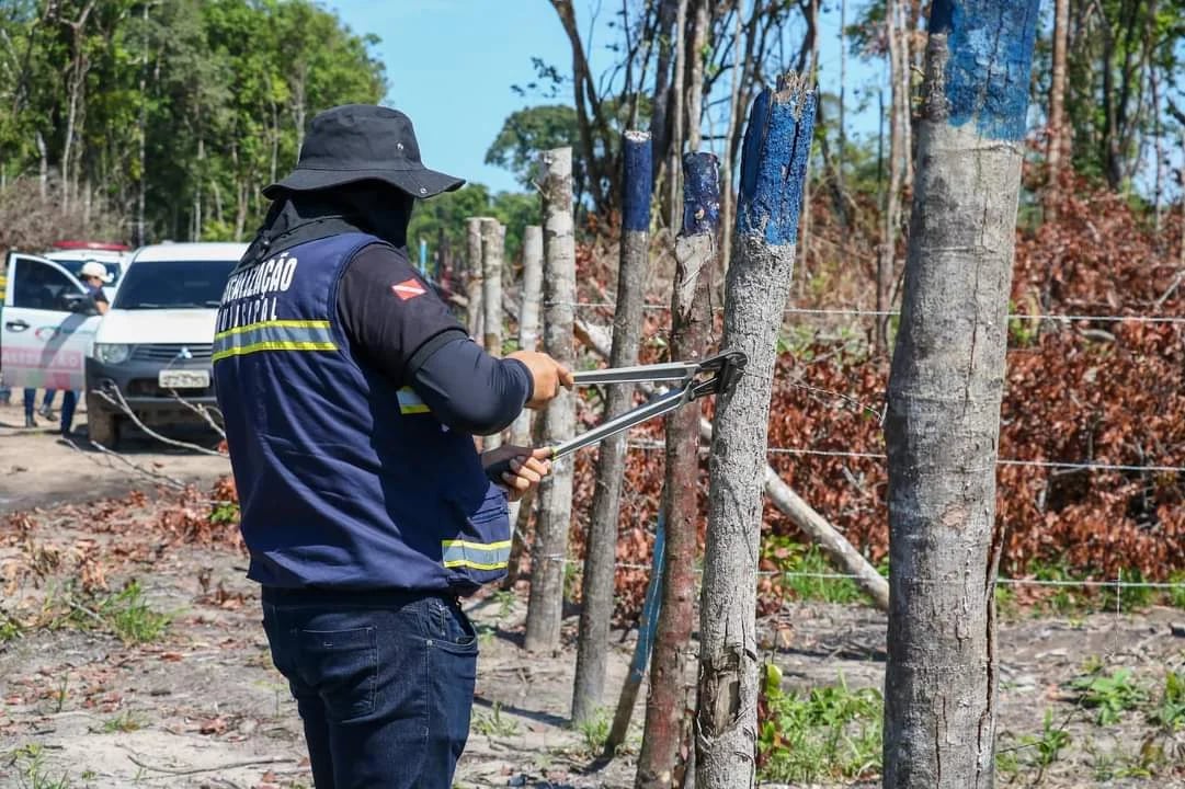 BARCARENA INTENSIFICA COMBATE ÀS INVASÕES E DESMATAMENTO ILEGAL