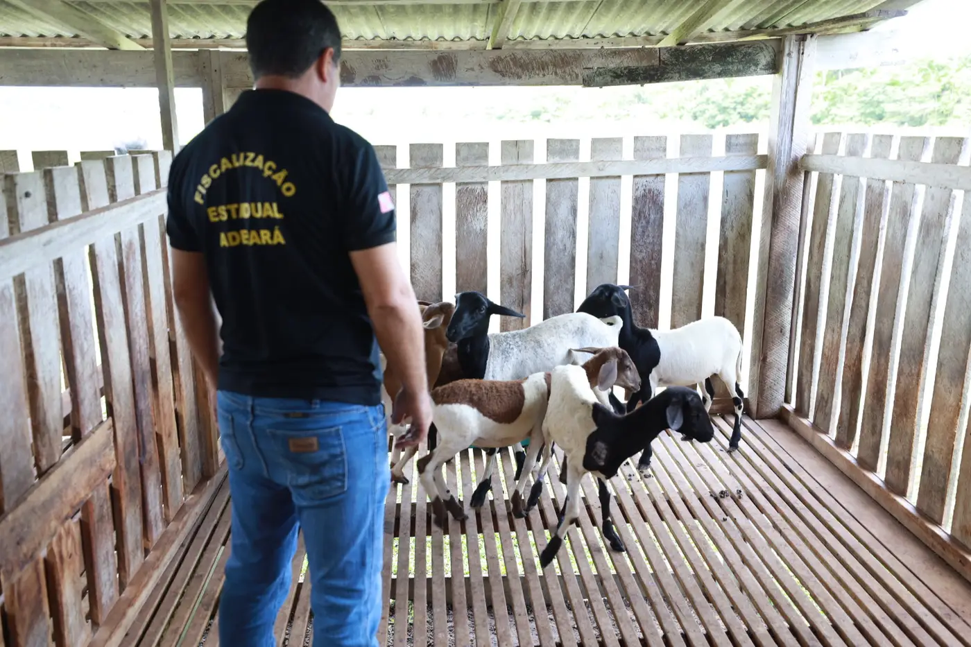 ADEPARÁ INICIA CAMPANHA PARA ATUALIZAÇÃO OBRIGATÓRIA DO CADASTRO DE ANIMAIS NO PARÁ