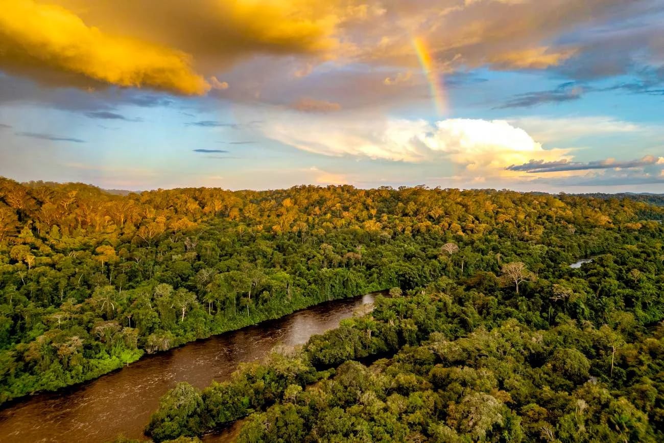 PARÁ LIDERA QUEDA DO DESMATAMENTO NA AMAZÔNIA LEGAL EM 2025