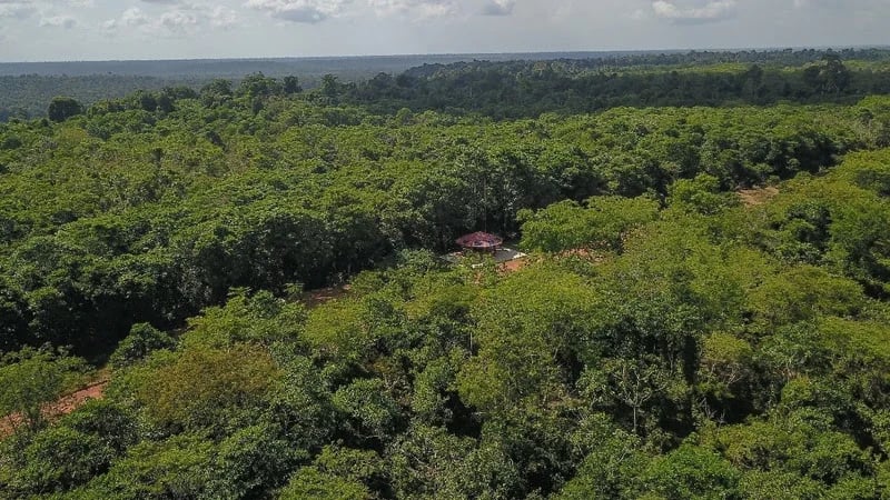 HYDRO ANTECIPA META AMBIENTAL EM 11 ANOS E AVANÇA NA DESCARBONIZAÇÃO DE OPERAÇÕES NO PARÁ