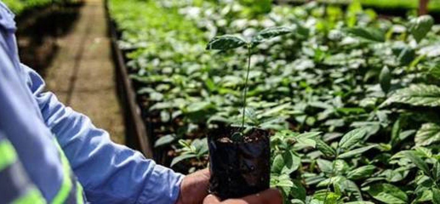 Recuperação ambiental Hydro