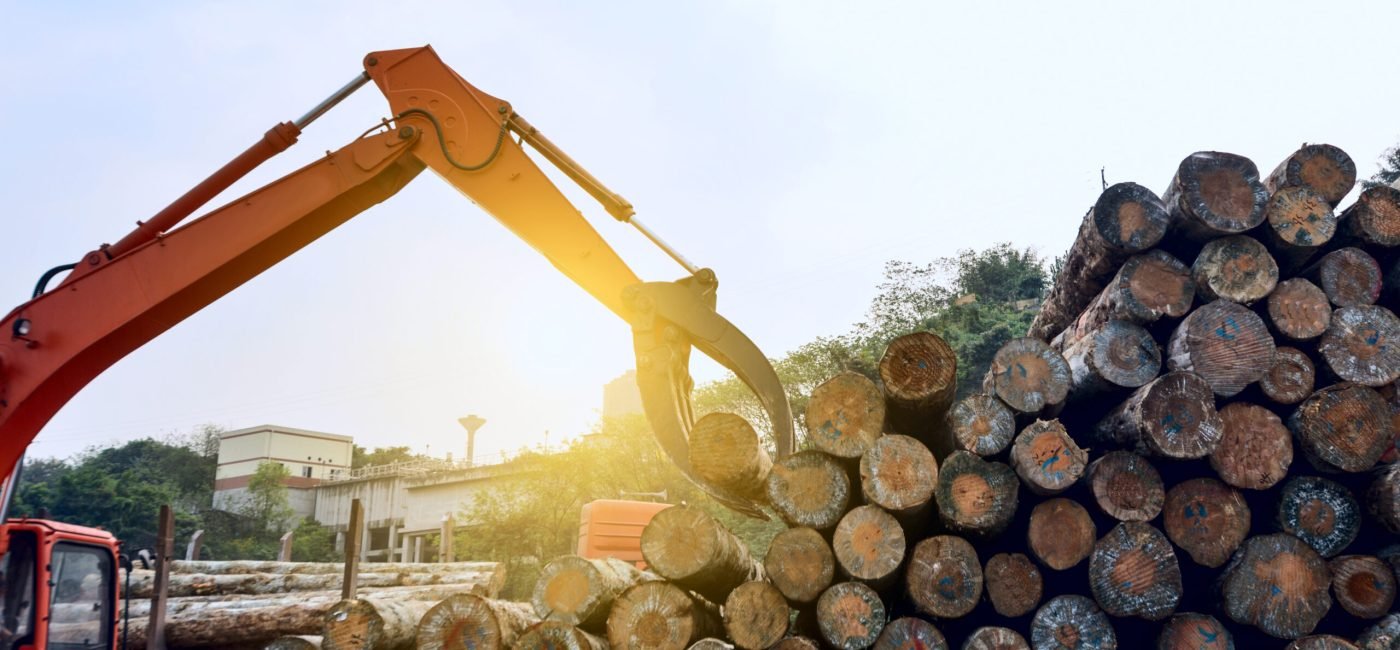 Wood processing factory